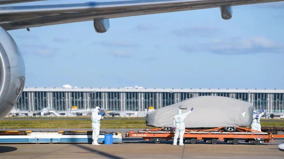 上海機場開通進博會航空貨運“綠色通道”